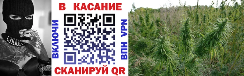 Продажа наркотиков Петушки Cocaine  АМФ  БУТИРАТ  СК  ГАШ 