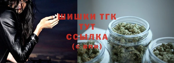 экстази Горняк