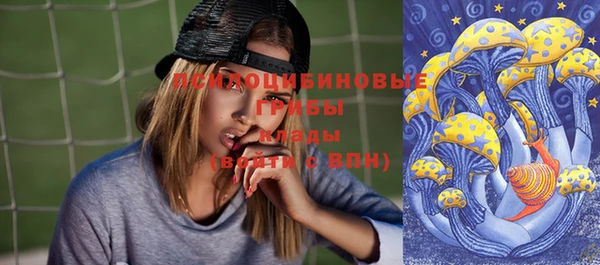 apvp Вяземский