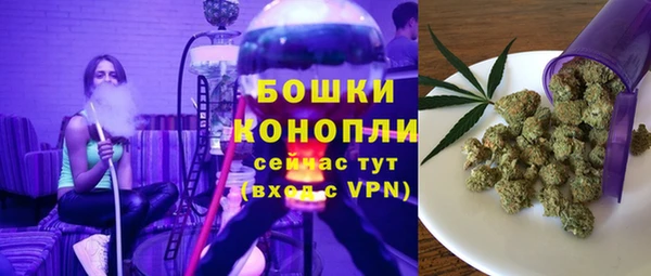 сатива Горно-Алтайск